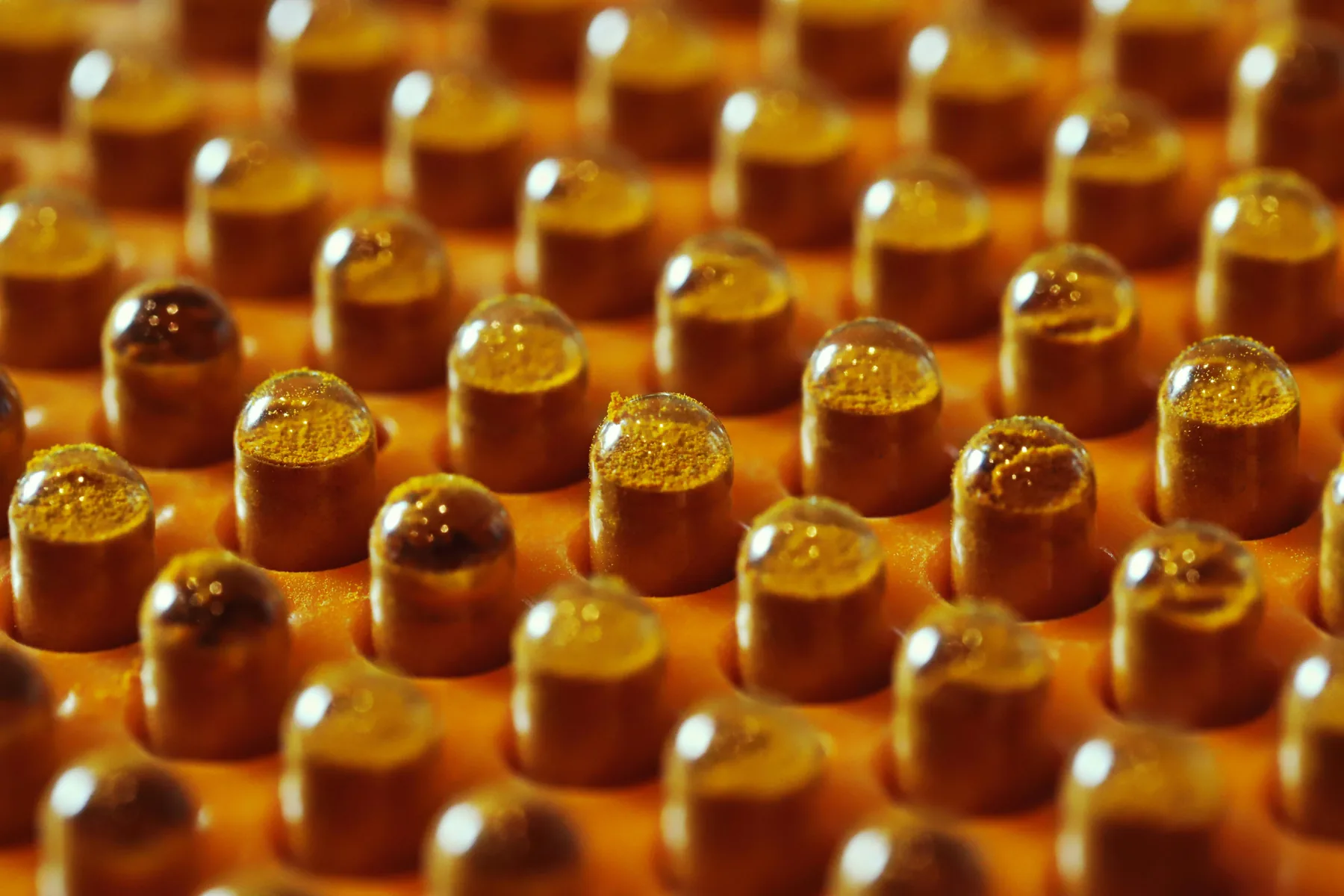 From Powder to Product: How Density Data Helps Keep Vitamin Supplements Consistent Batch After Batch
